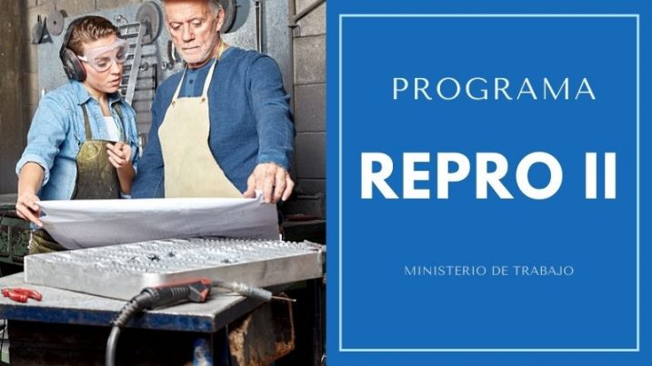 PROGRAMA-REPRO-II-MINISTERIO-DE-TRABAJO-IGNACIO-ONLINe